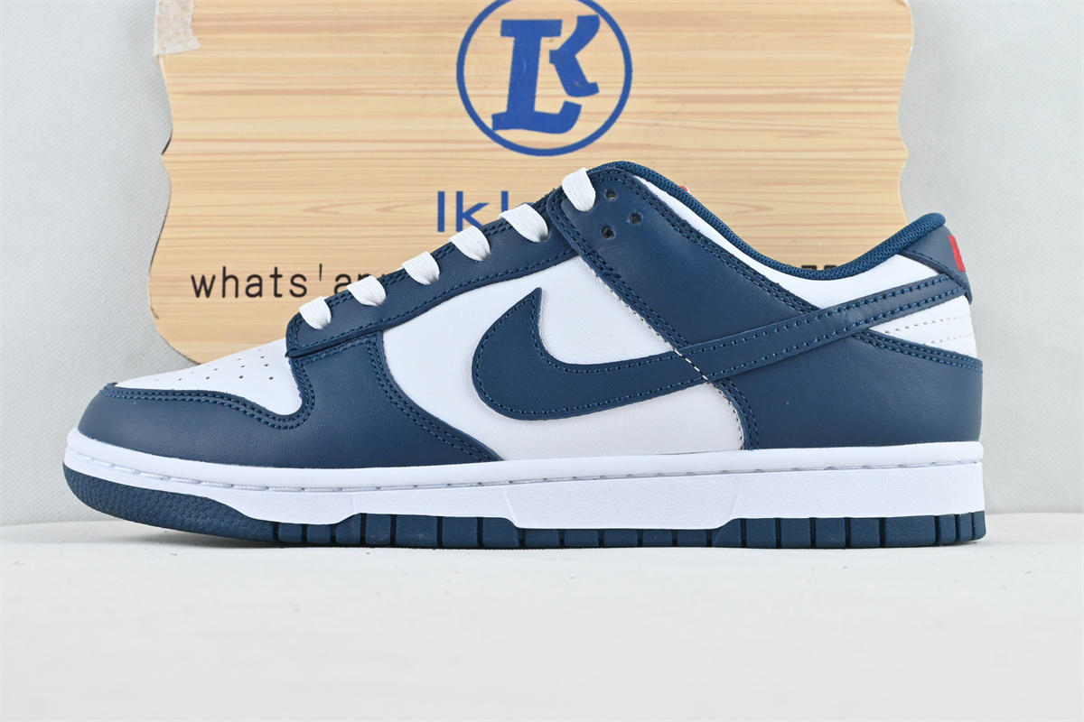 Nike Dunk Low Valerian Blue (special sale)