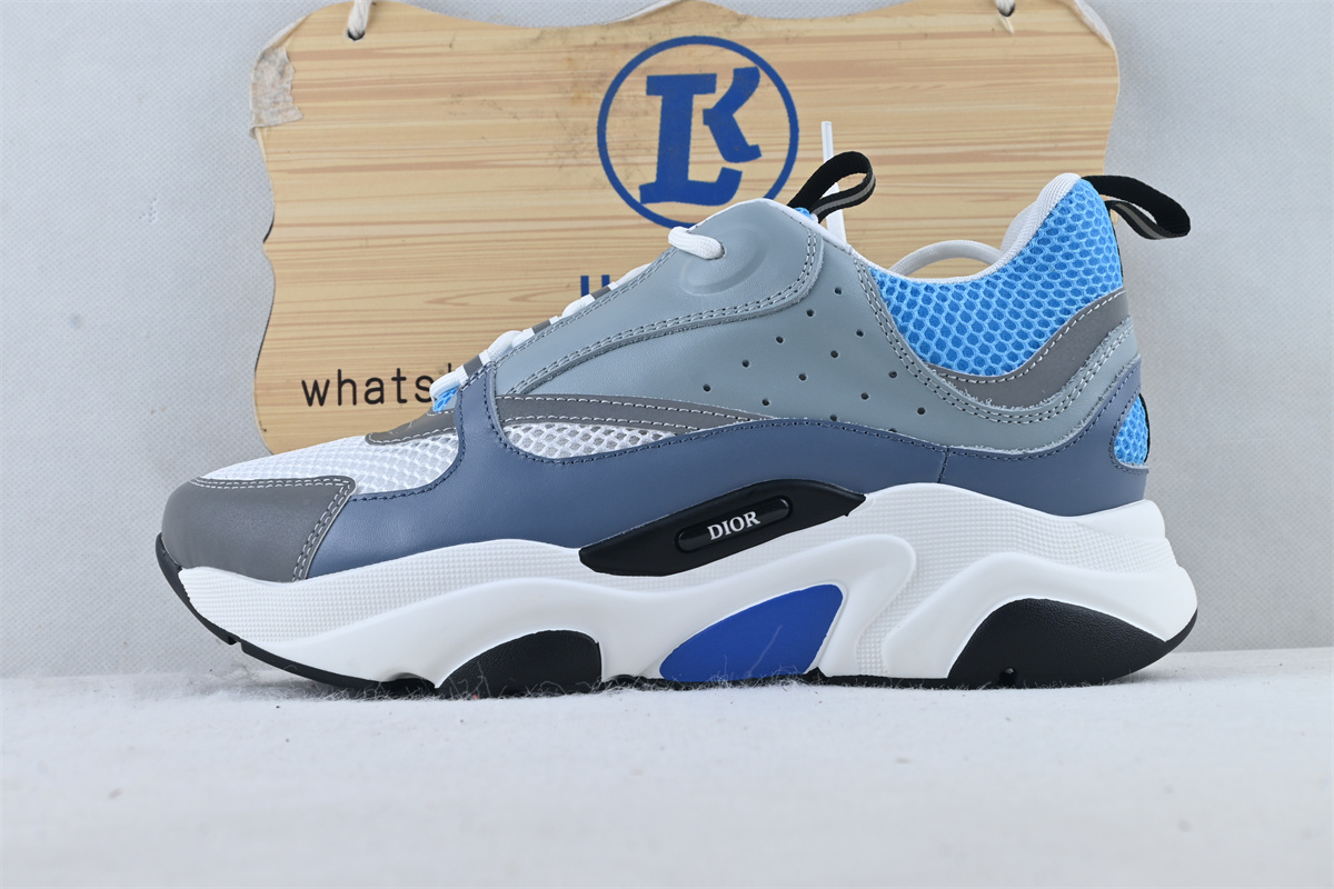 D10r B22 White Blue