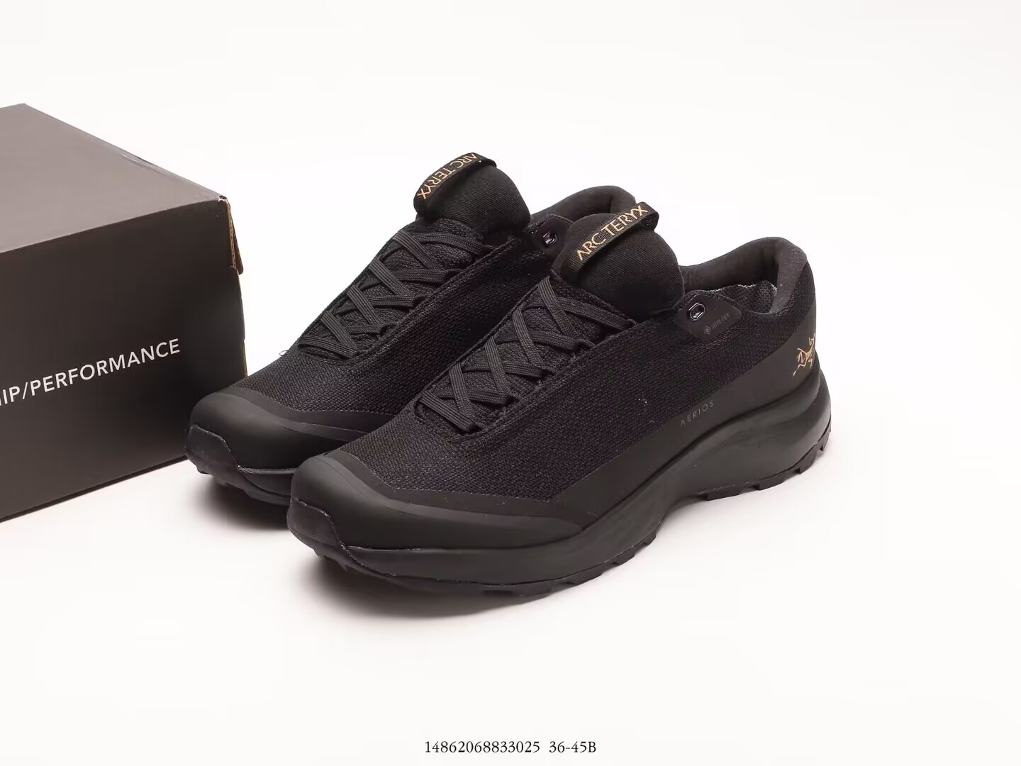 Arcteryx Sneakers